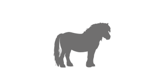 für Pferde bis ca. 350 kg