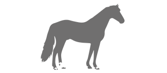 für Pferde bis ca. 800 kg